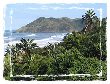 Port St. Johns Sardine Run Wildcoast