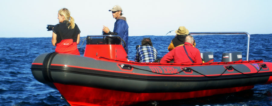 Offshore Africa Port St. Johns
