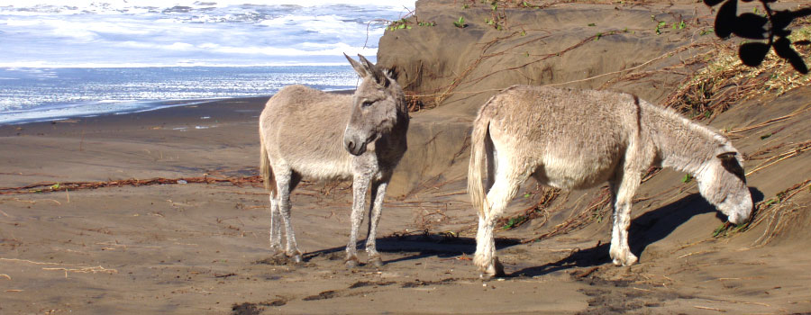 Offshore Africa Port St. Johns